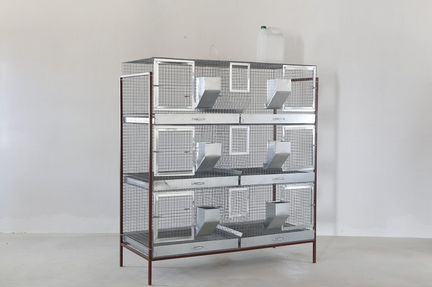 Клетка для кроликов откормочная (кр-впо-3.6)