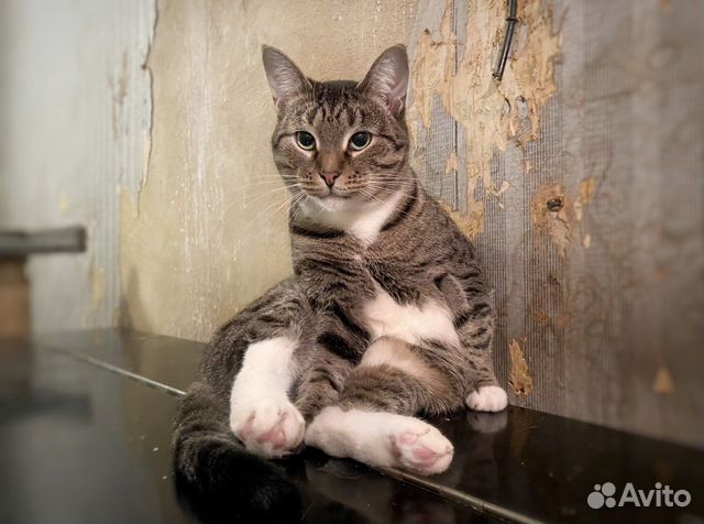 Анфиса терпеливым людям