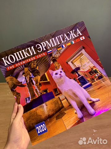 Кошки эрмитажа фото