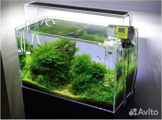 Кормушка для рыб