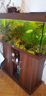 Аквариум 180 литров