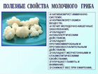 Кефирный тибетский молочный гриб объявление продам