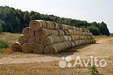 Солома новый урожай с доставкой