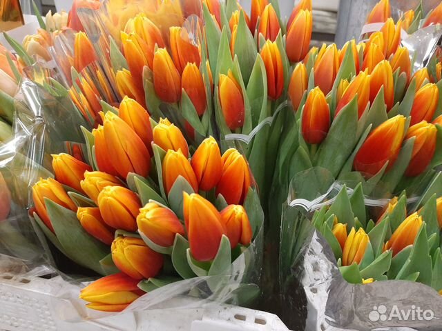 Тюльпаны на выпускной