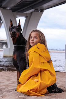 Доберман для фотосессии