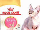Royal canin, корм для котят