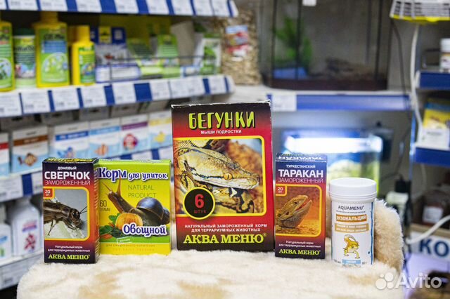 Корм для рептилий, ящериц и змей