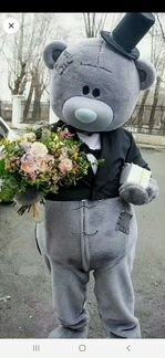 Мишка Тедди