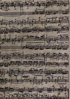 Репетитор по сольфеджио для школьников