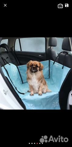 Защита машины от собак и кошек