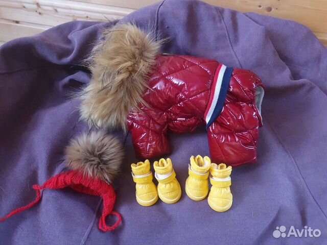 Дизайнерская одежда на собачку