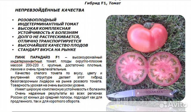Пинк Парадайз F1 семена томата саката