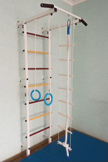 Детский спортивный комплекс для дома до 120 кг