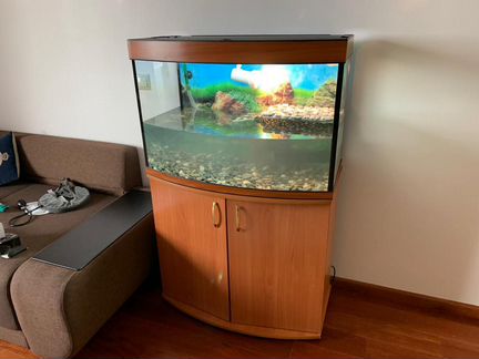 Аквариумы для черепах панорамные