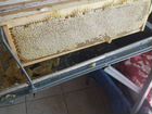 Продам пчелосемьи с ульями или без на выбор объявление продам