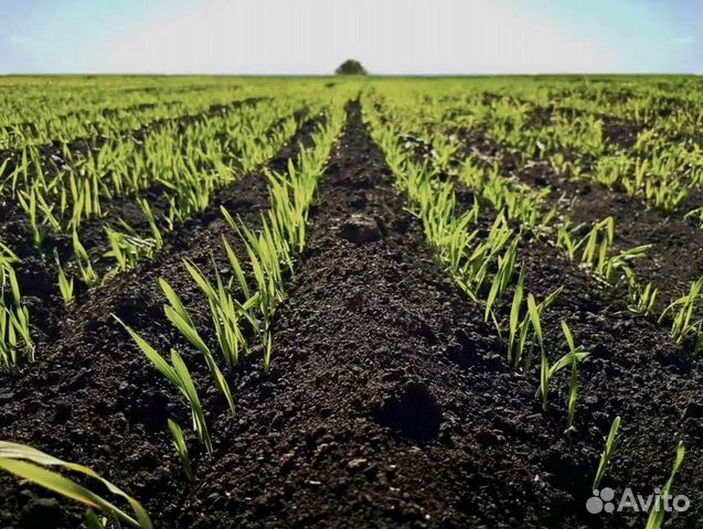 Чернозём торф навоз перегной земля с доставкой