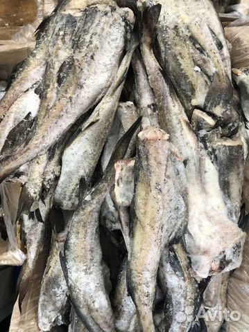 Минтай свежемороженый