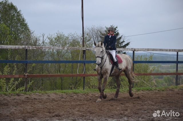 Редингот для конного спорта