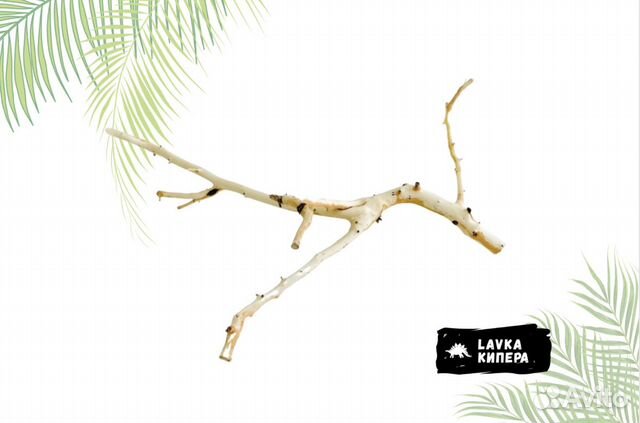 Универсальная коряга «Окинава» для террариума