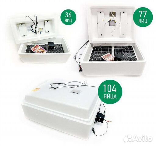 Инкубатор для яиц несушка