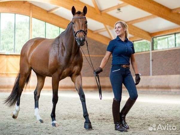 Уроки по верховой езде,аренда лошадей,конный спорт