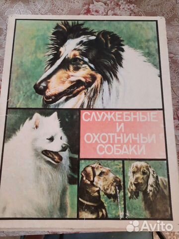 Спички СССР Андропов