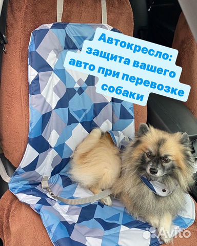 Автокресла защитные для перевозки животных