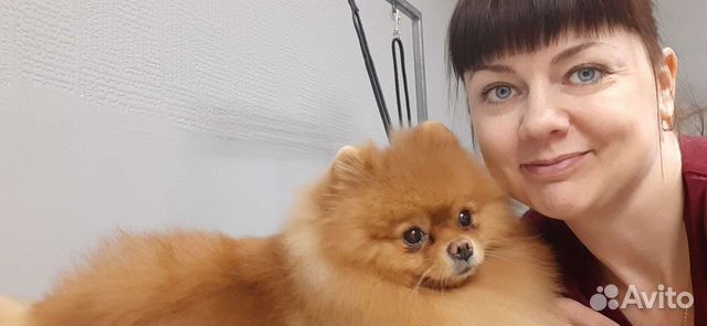 Груминг/Стрижка собак/Стрижка кошек