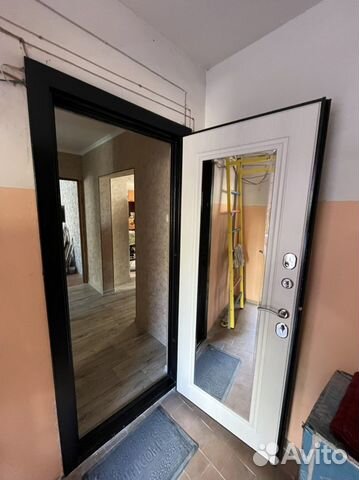 Дверь входная с зеркалом