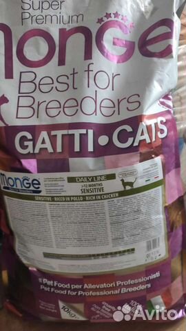 Корм Monge и другие корма для кошек
