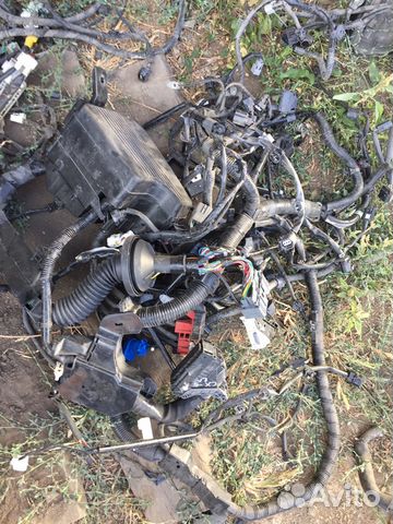 Проводка моторная Mazda CX-5 2литра 2013 год