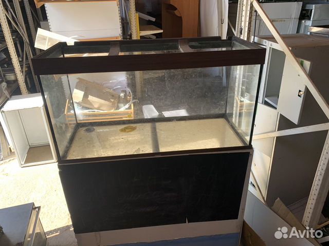 Аквариум на станине для живой рыбы 123/54/193