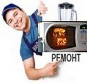 Ремонт микроволновок кофемашин роботов