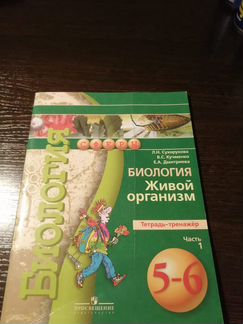 Рабочие тетради 5-6 класс