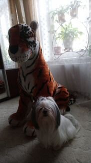 Мягкая игрушка