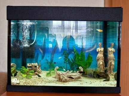 Аквариум 70 л стекло в полном комплекте