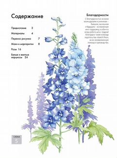 Раскраска по схемам контэнт Нарисуй цветы акварелью, 16 л