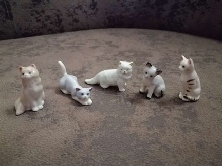 Кот, кошка, котёнок, мини