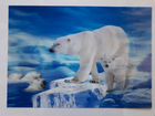 Картина 3D Белые медведи
