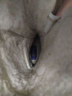 Зимние сапоги для девочки 33