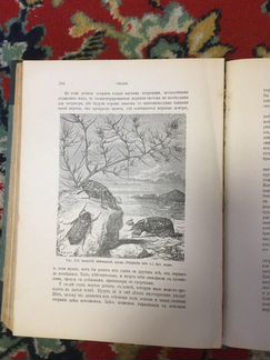 Жан Фабр: Инстинкты и нравы насекомых 2 тома 1914