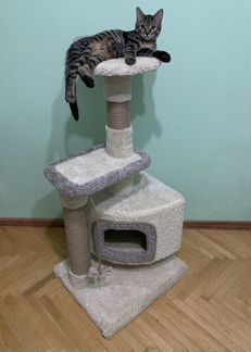 Домик для кошки