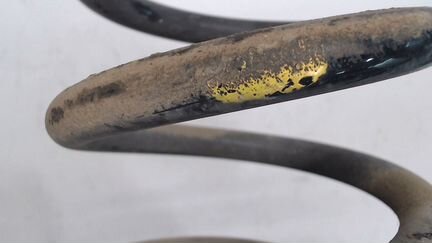 Пружина подвески левая задняя Nissan Qashqai 2013