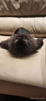Шапка ушанка