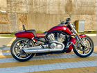 Harley Davidson v-rod muscle