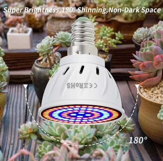 Фитолампочка для растений